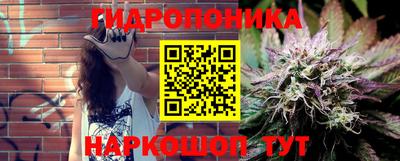 дживик Славгород