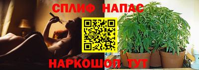 дмт Славянск-на-Кубани