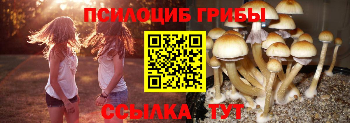 Меф мяу мяу Кропоткин